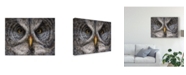 Trademark Global Patrick Lamontagne Great Grey Owl Totem Canvas Art - 20" x 25"